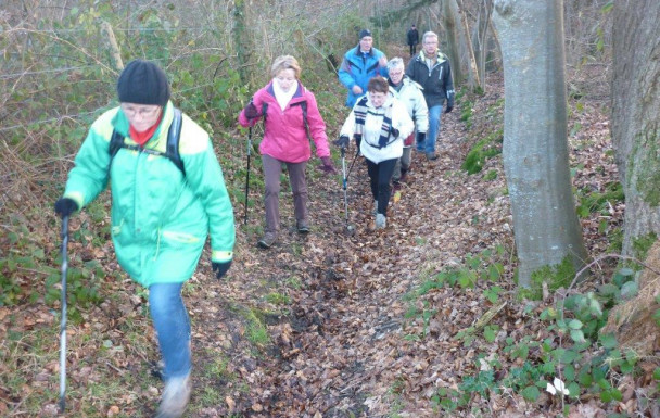 Marche du mercredi 04 Février 2015 à Saint george du vievre